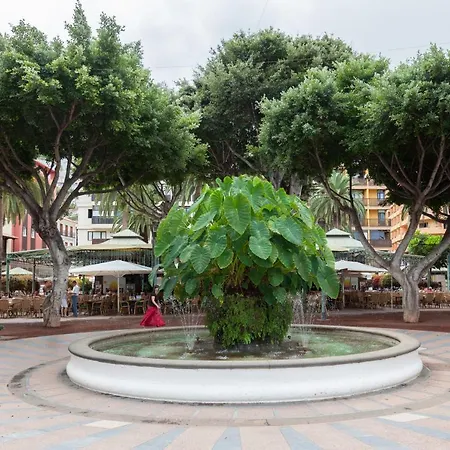Home2book Botanic Garden Apartment, Terrace & Wifi 아파트 푸에르토 드 라 크루즈